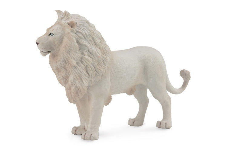 wilde dieren: witte leeuw 14 x 9 cm