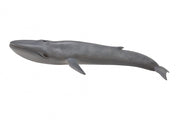 Zeedieren Blauwe vinvis 28 cm