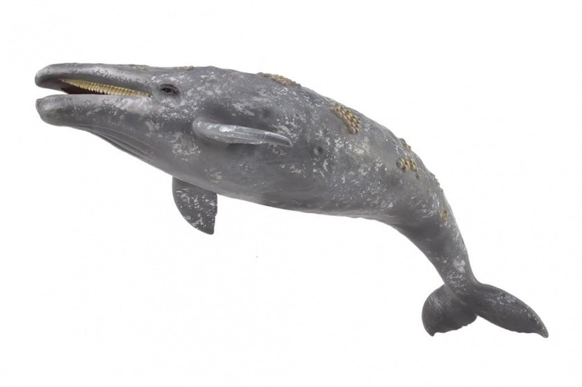 Zeedieren Grijze walvis 23 cm