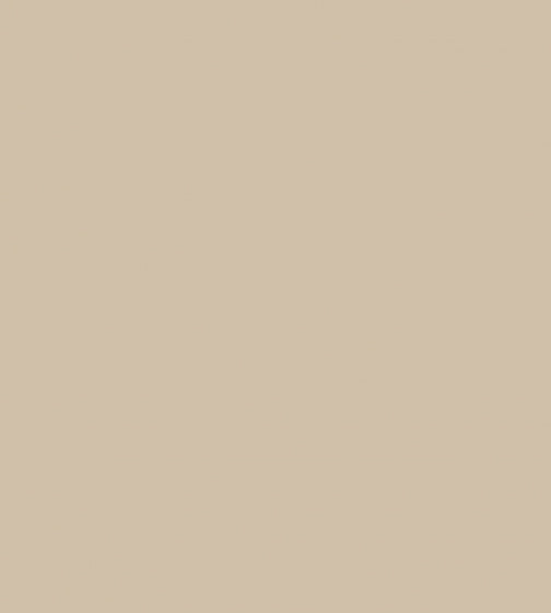 acrylverf Plus Color 60 ml donkerbeige