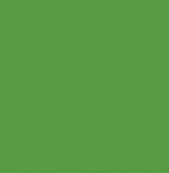 acrylverf Plus Color 60 ml groen