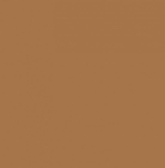 acrylverf Plus Color 60 ml sienna-bruin