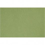 Frans karton groen A4 210 x 297 mm 160 gram
