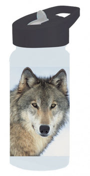 drinkfles Animal Planet wolf junior 500 ml grijs