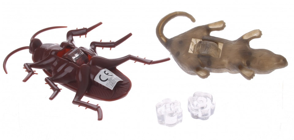 raamkruipers dieren 2 stuks 9 cm bruin