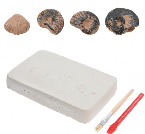 fossielen ontdekset Benthos Fossils