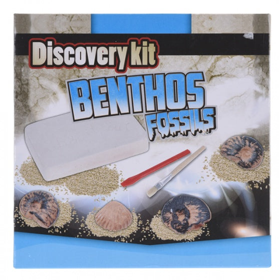 fossielen ontdekset Benthos Fossils