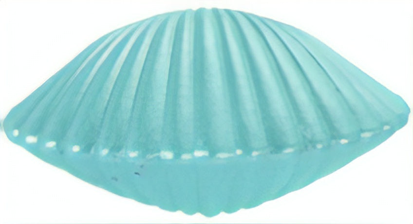 groei-schelp zeemeermin groen 9 x 9 cm