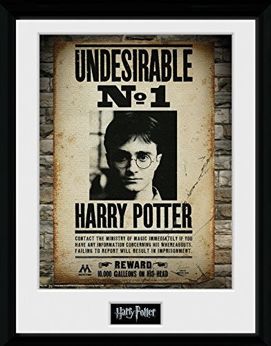 poster in lijst Harry Potter Hogwarts No 1 30 x 40 cm