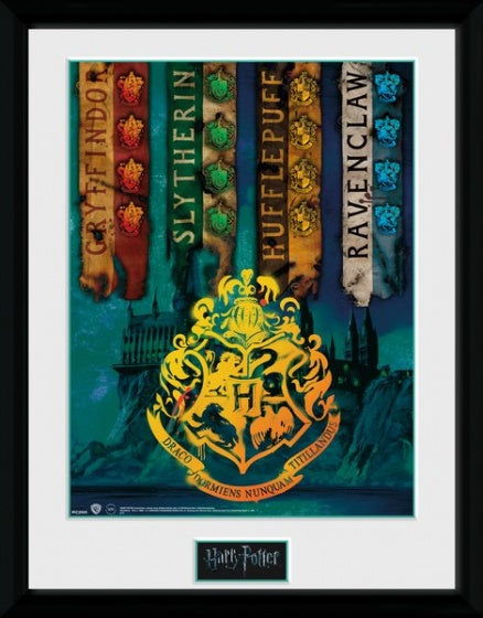 poster in lijst Harry Potter House Flags 30 x 40 cm