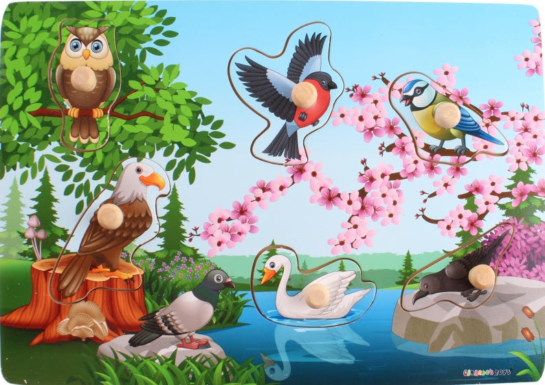 vormenpuzzel vogels hout 6 stukjes