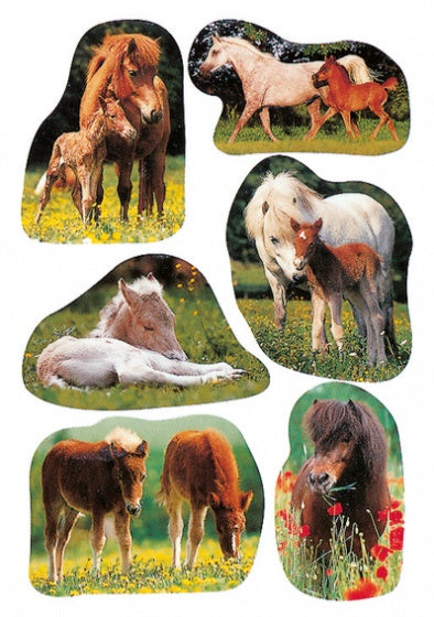 etiketten paarden junior 3 vellen