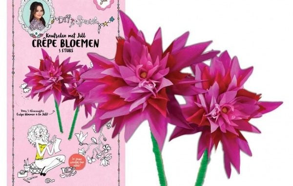 knutselen met Jill - bloemen meisjes 5-delig