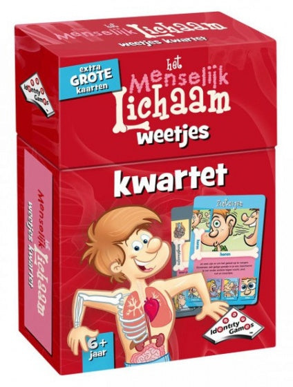 menselijk lichaam kwartet