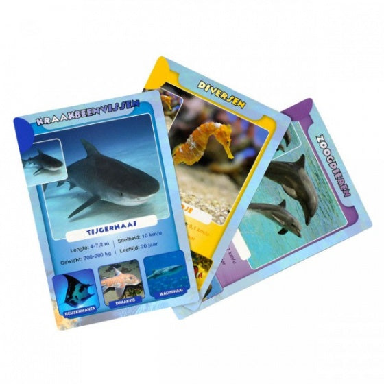 Sealife kwartet