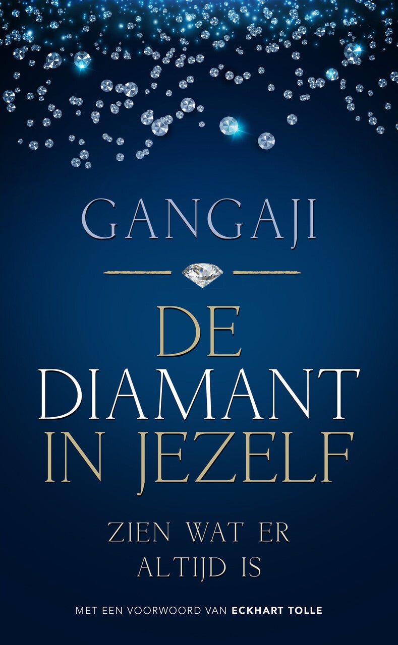 De diamant in jezelf (Paperback)