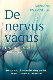 De nervus vagus