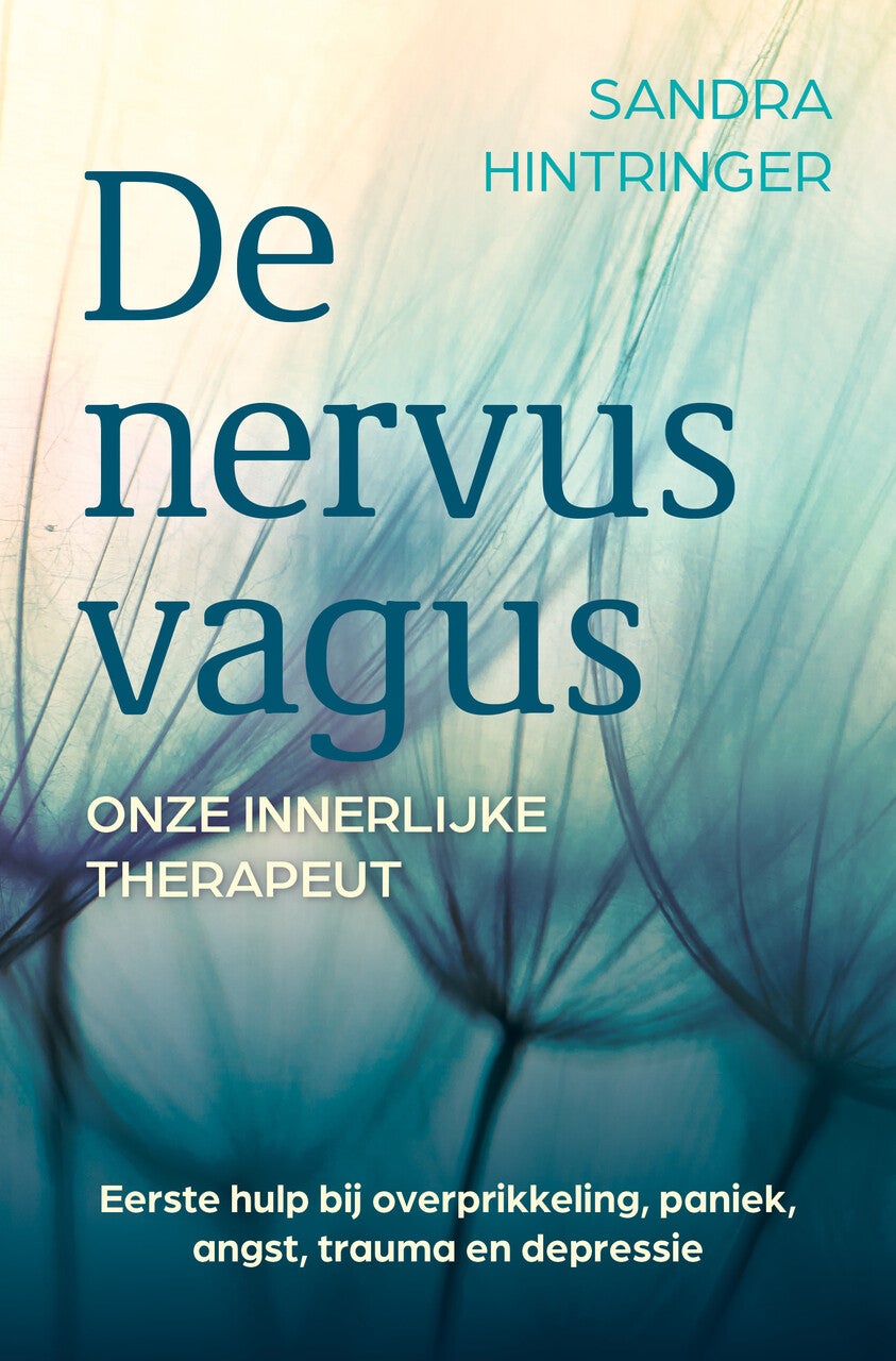 De nervus vagus