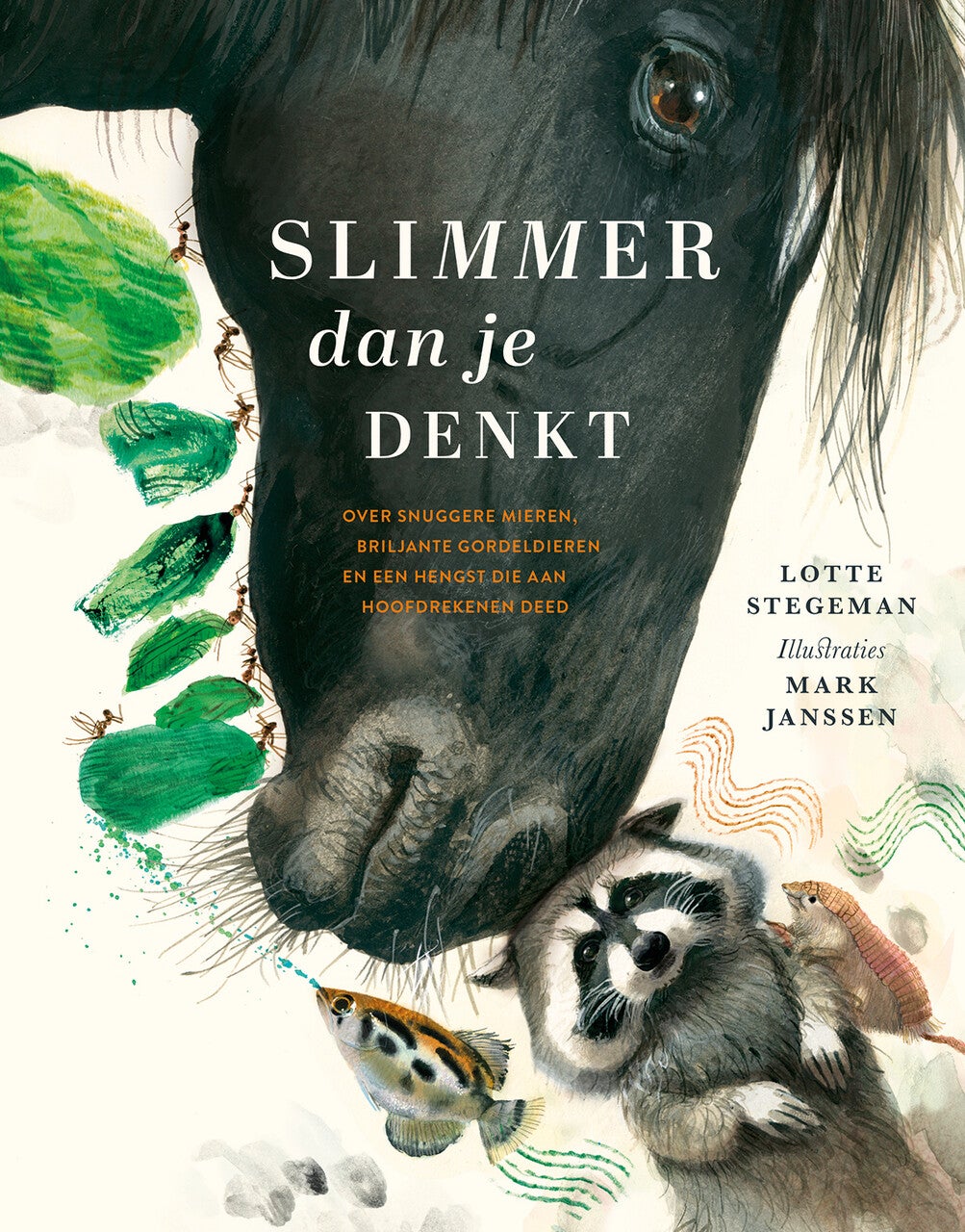 Slimmer dan je denkt (Hardback)