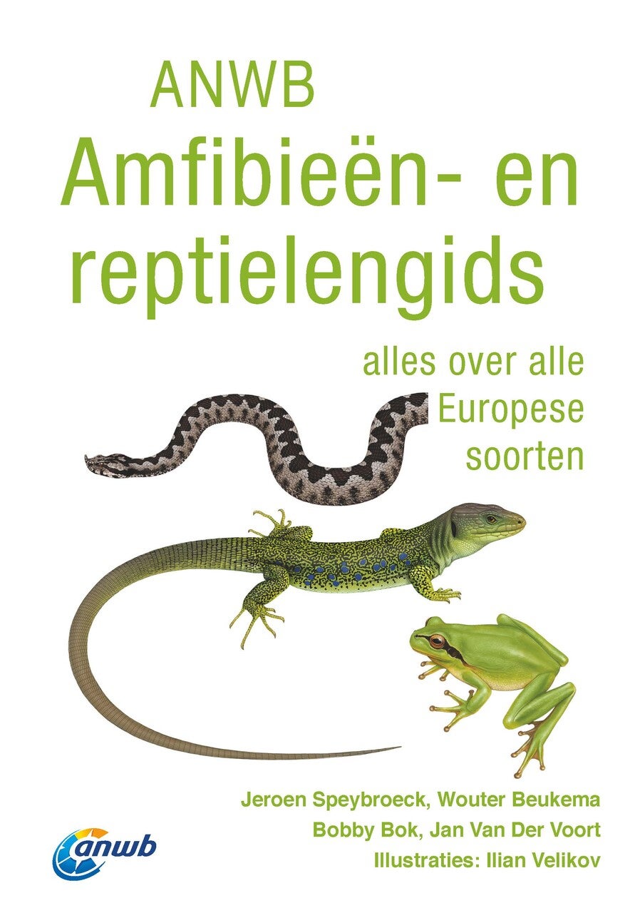 ANWB Amfibieën- en reptielengids (Paperback)