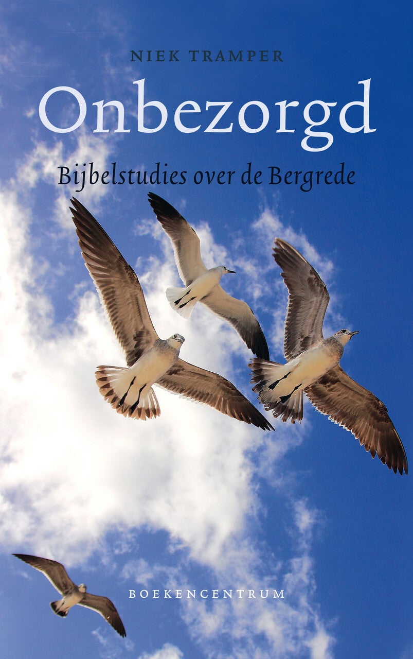 Onbezorgd (Paperback)