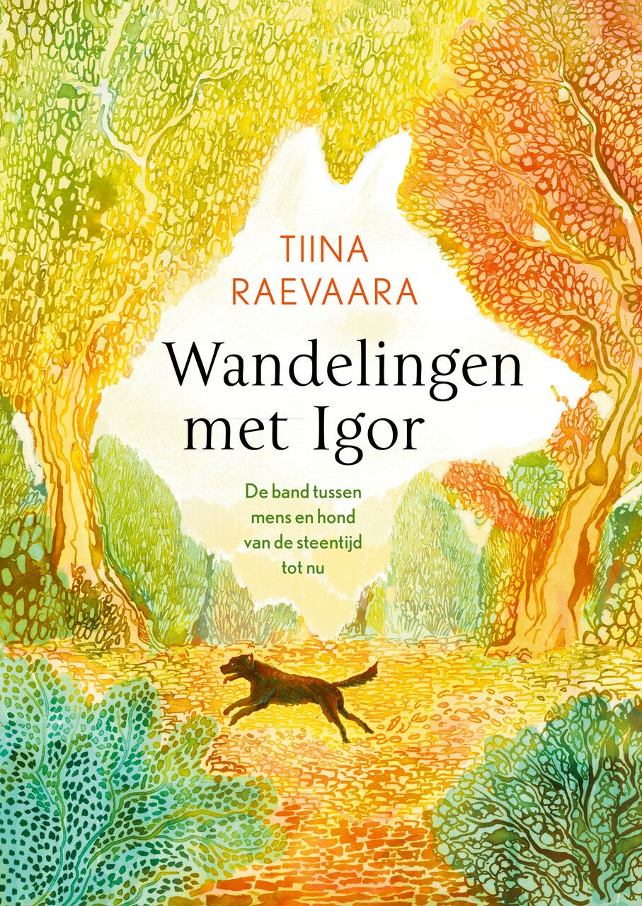 Wandelingen met Igor (Hardback)