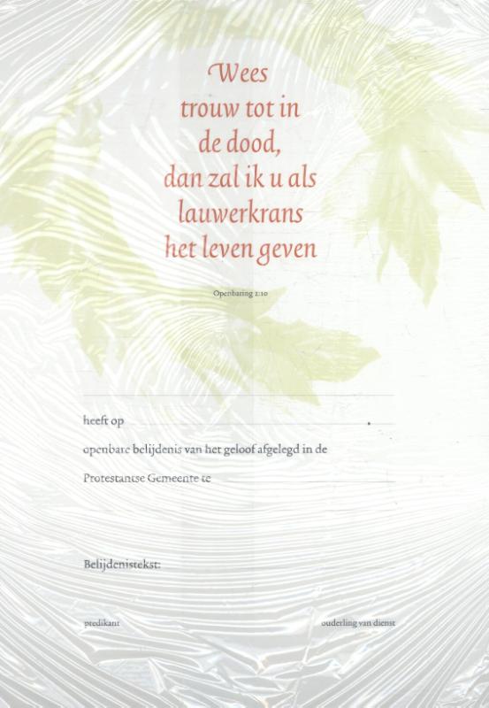 Belijdeniskaart 302 (Kaartspellen)