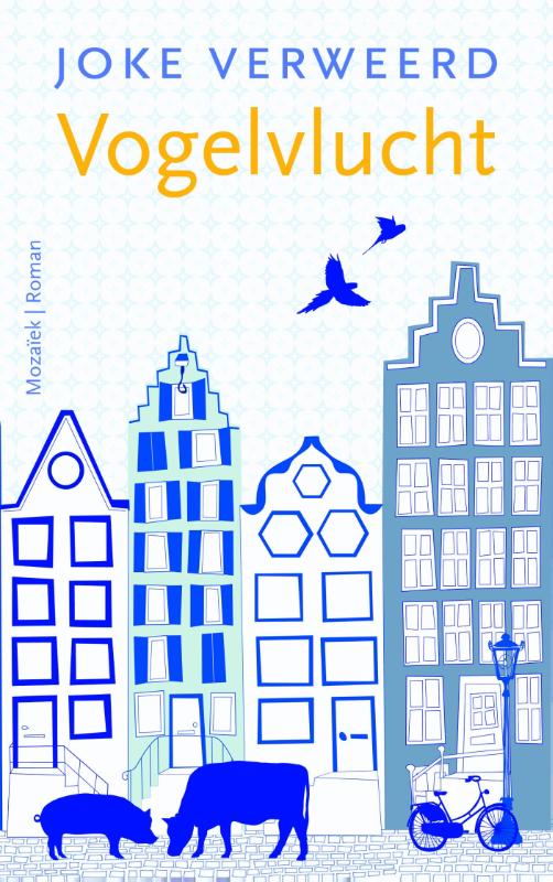 Vogelvlucht (Paperback)