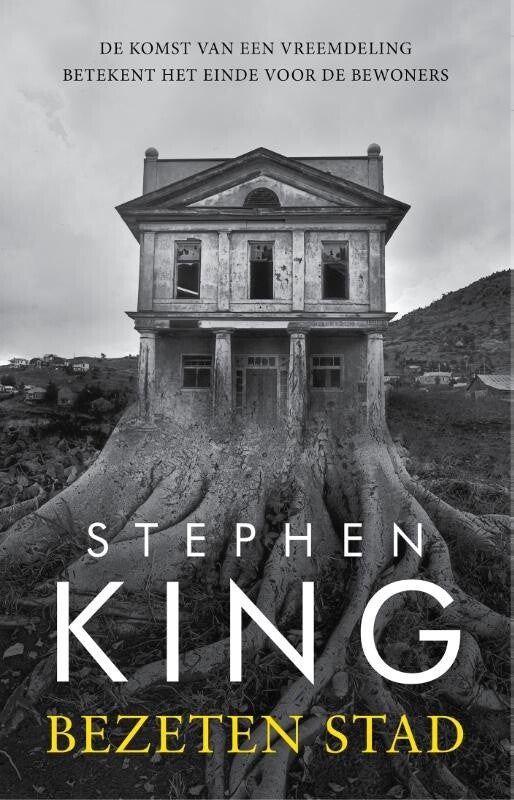 Bezeten stad (Paperback)