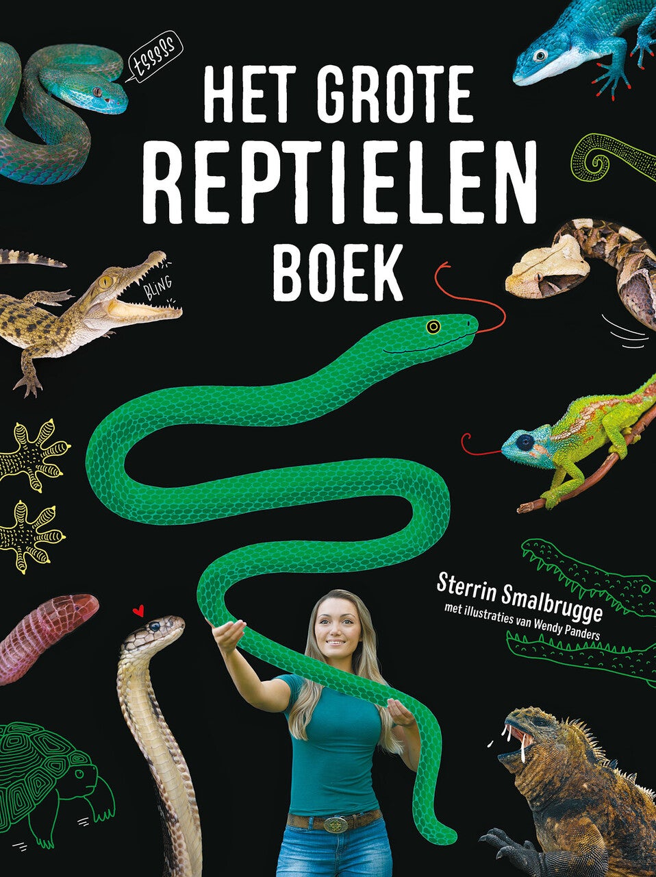 Het grote reptielenboek (Hardback)