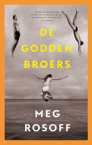 De Godden broers (Hardback)