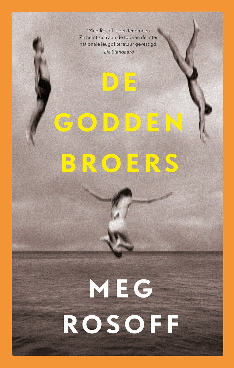 De Godden broers (Hardback)