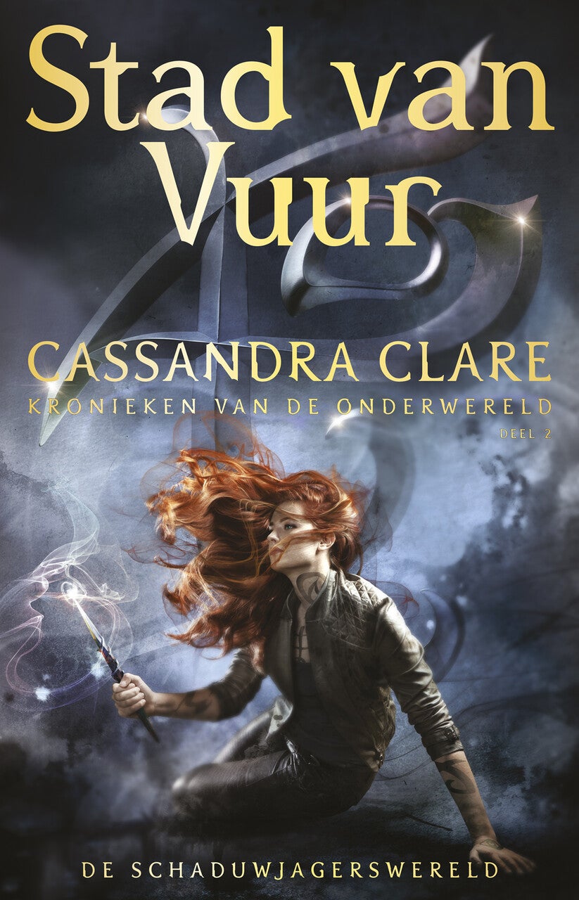 Stad van Vuur (Paperback)