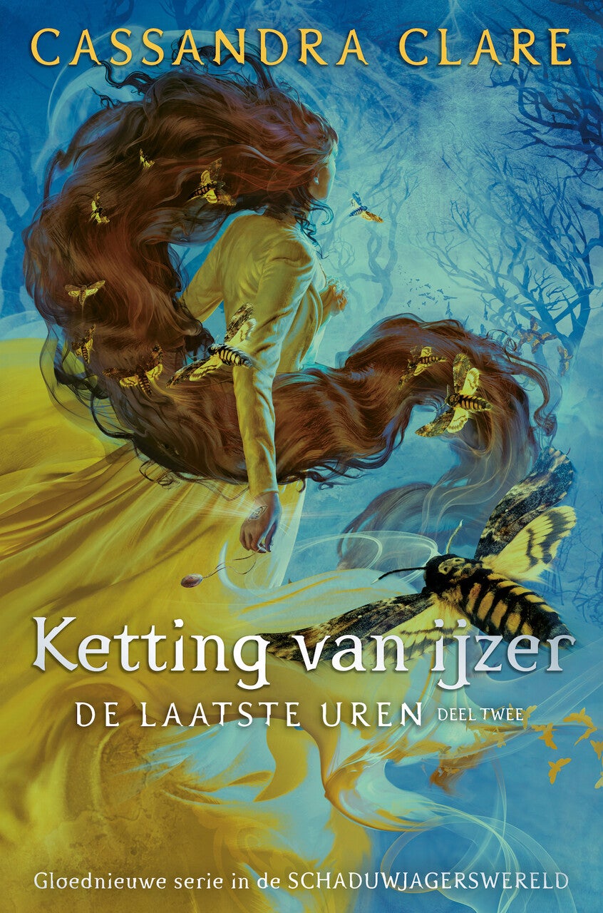 Ketting van ijzer (Paperback)
