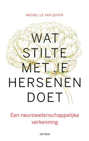 Wat stilte met je hersenen doet (Paperback)