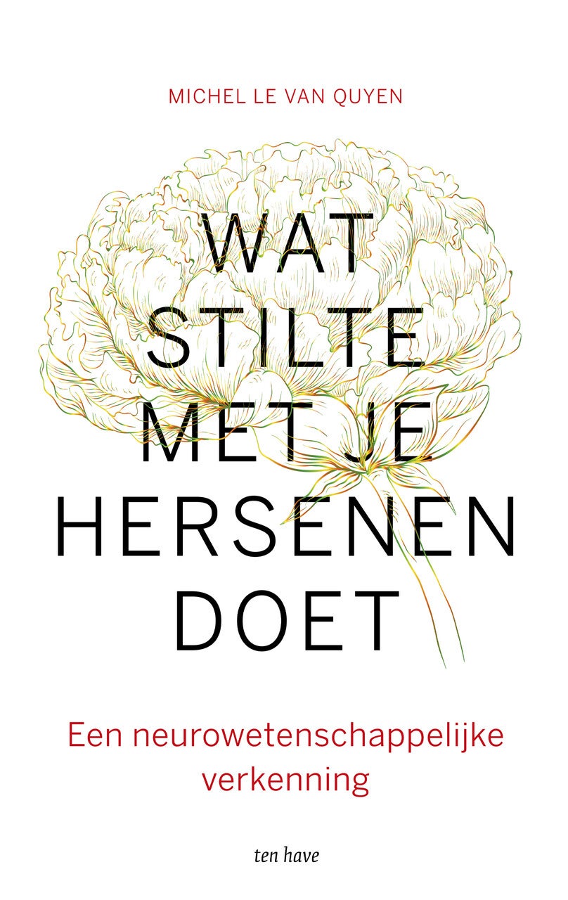 Wat stilte met je hersenen doet (Paperback)