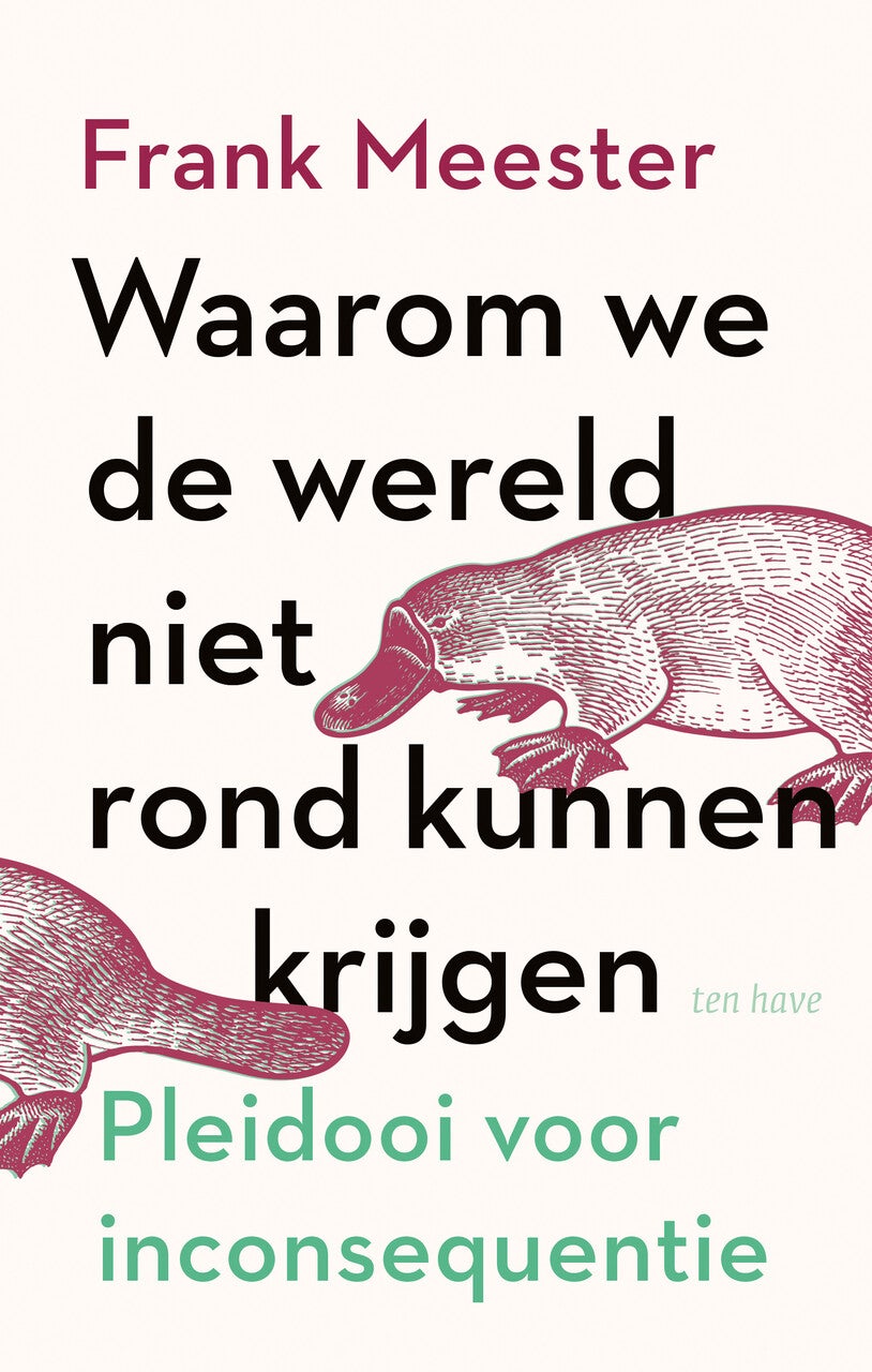 Waarom we de wereld niet rond kunnen krijgen (Paperback)