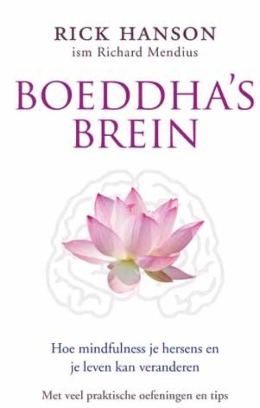 Boeddha`s brein (Paperback)