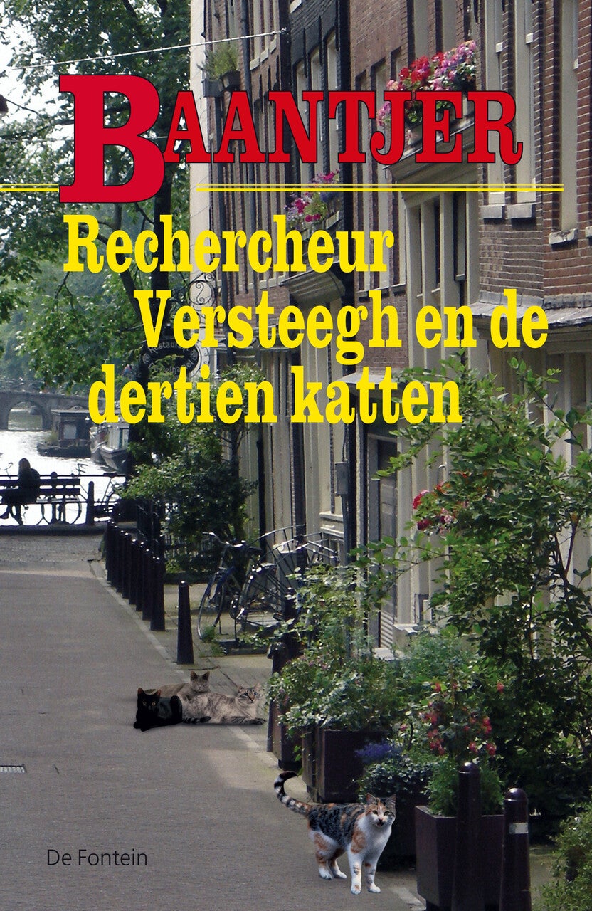 Rechercheur Versteegh en de dertien katten (Paperback)