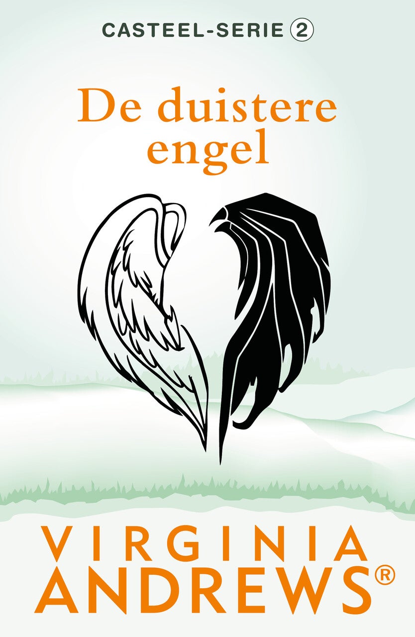 De duistere engel (Paperback)