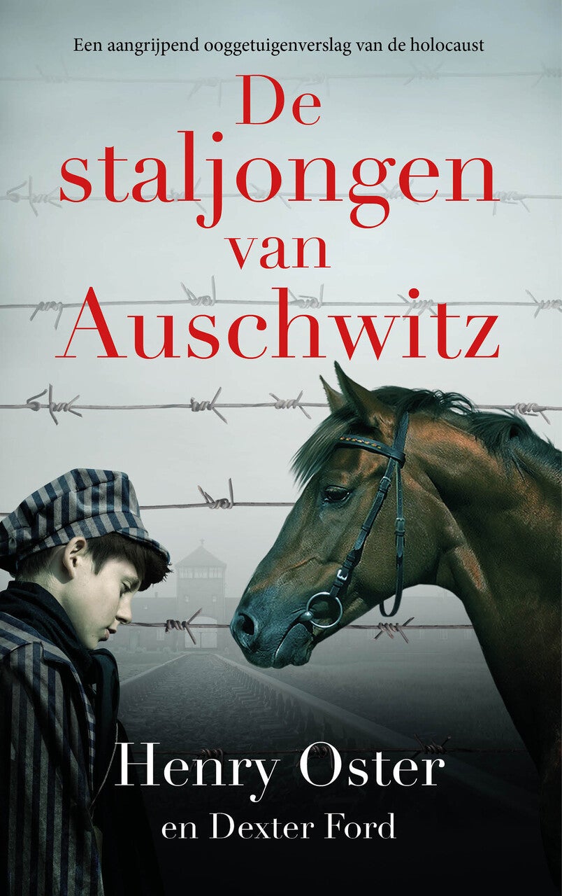 De staljongen van Auschwitz (Paperback)