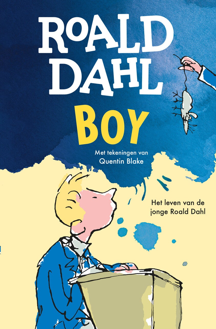 Boy (Hardback)