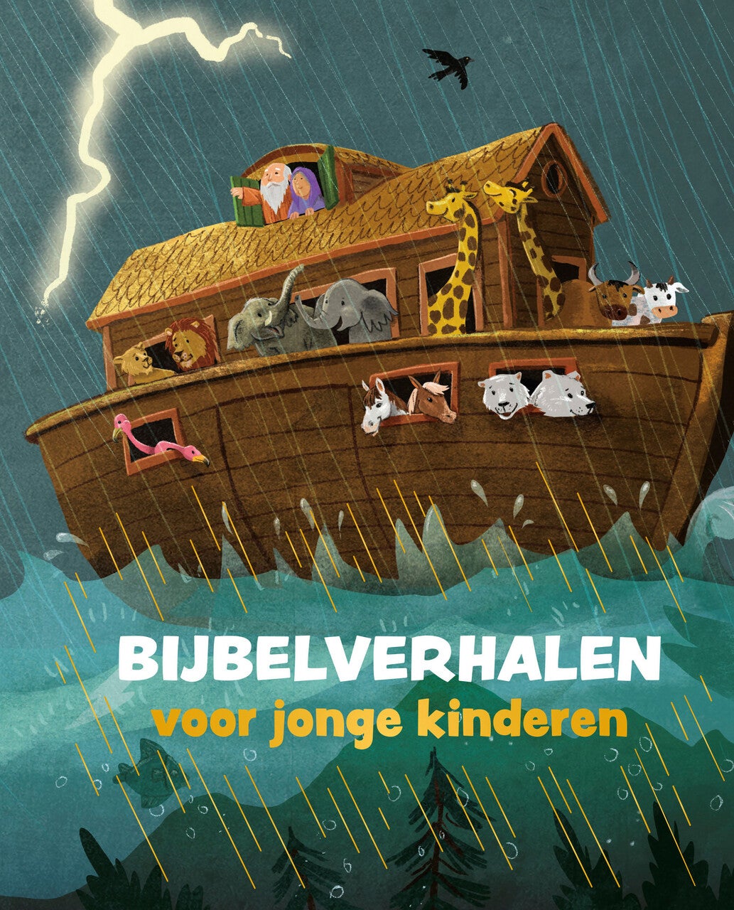 Bijbelverhalen voor jonge kinderen (Hardback)