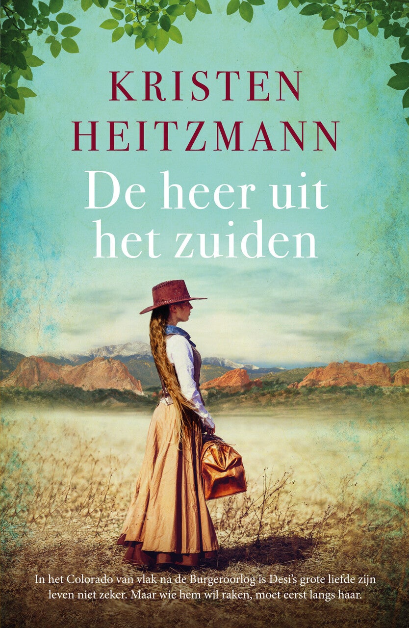 De heer uit het zuiden (Paperback)