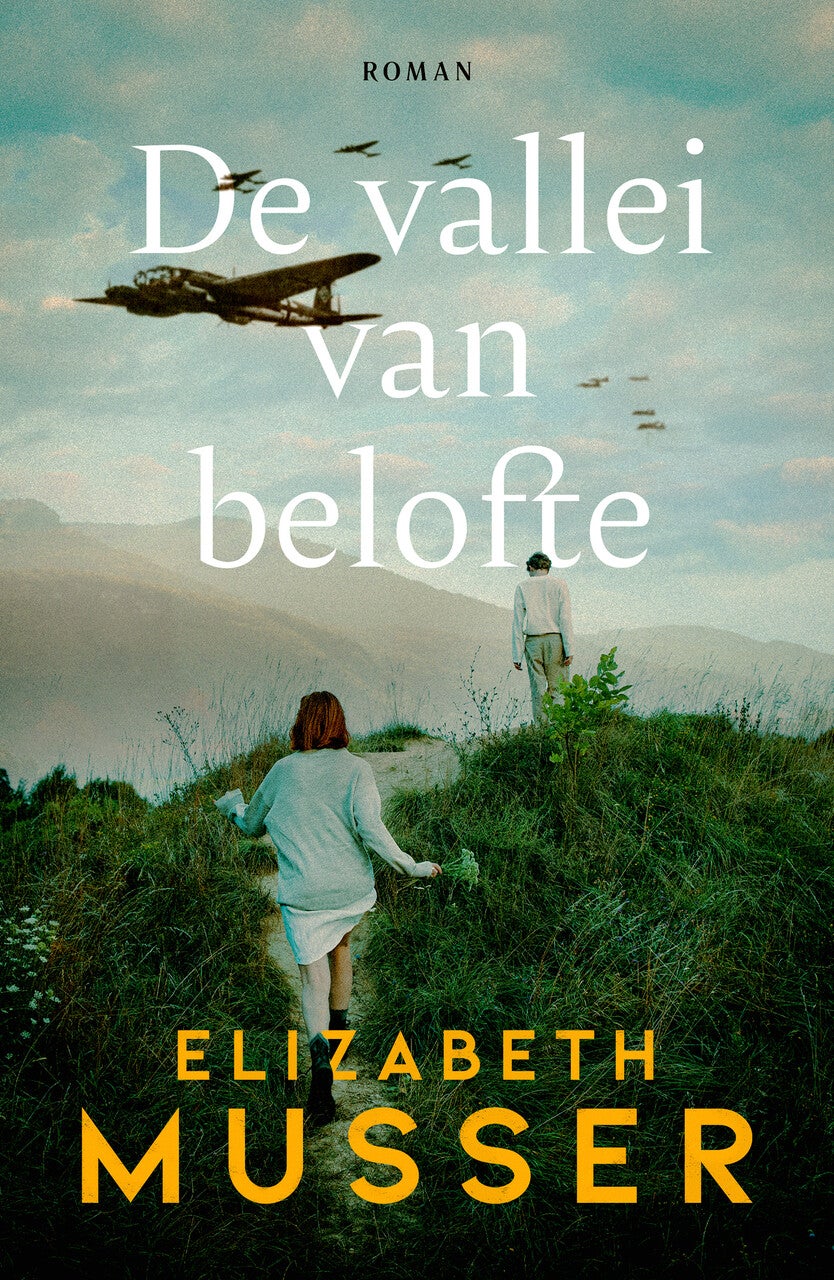 De vallei van belofte (Paperback)
