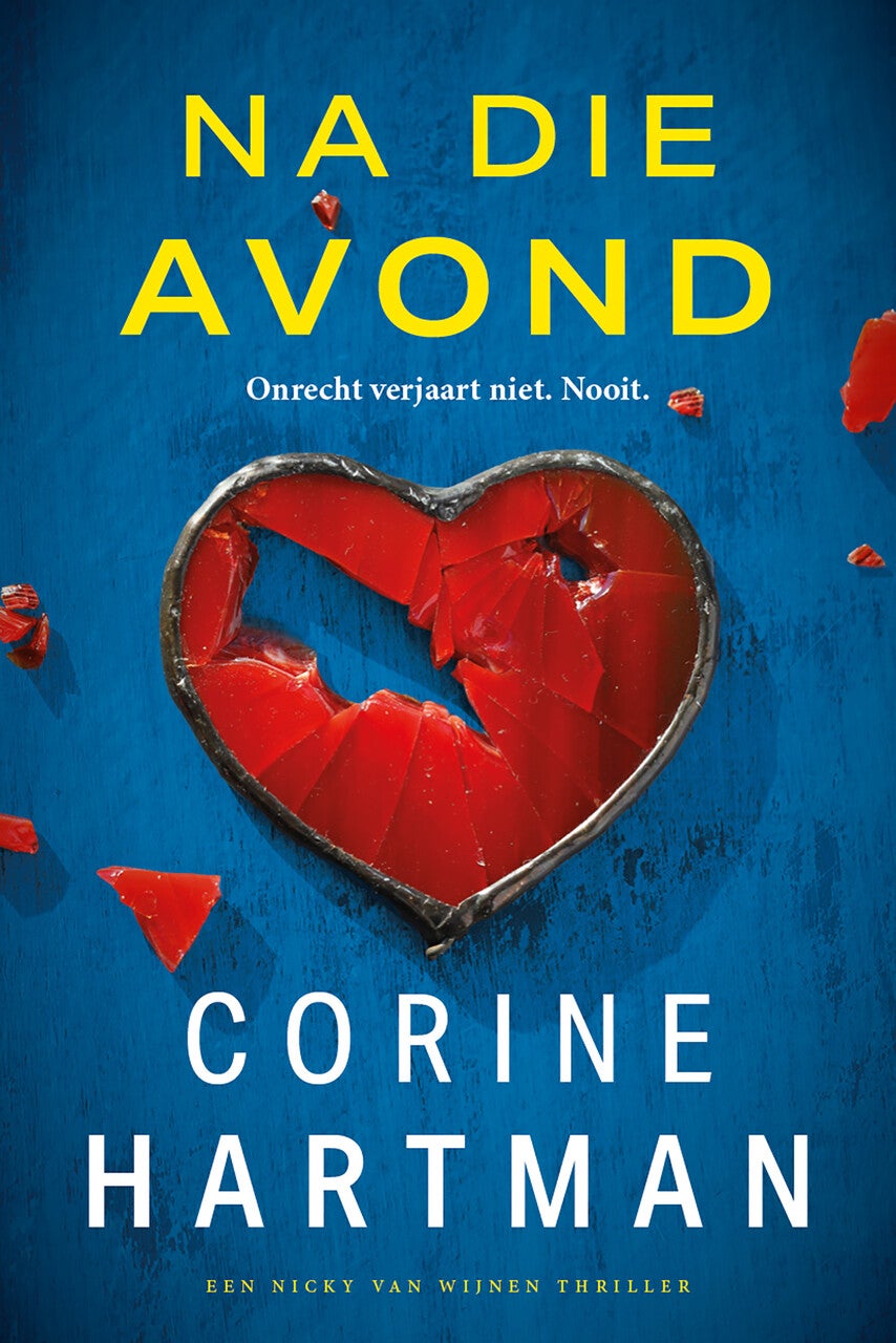 Na die avond (Paperback)