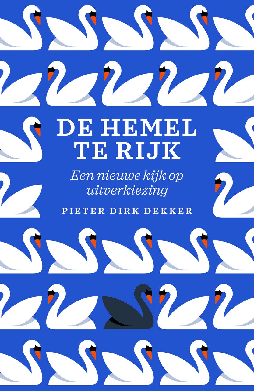 De hemel te rijk (Paperback)