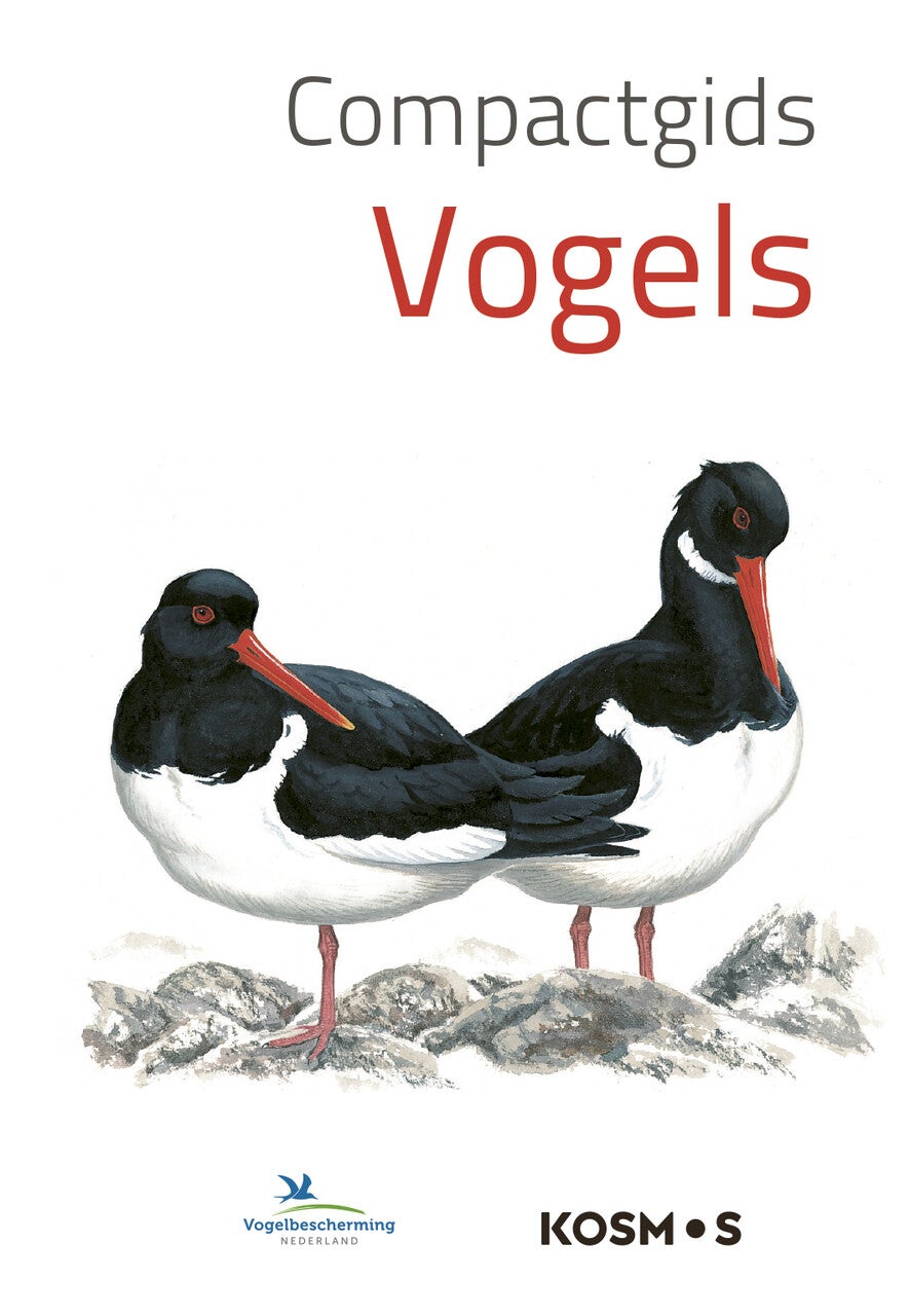 Compactgids Vogels (Paperback)