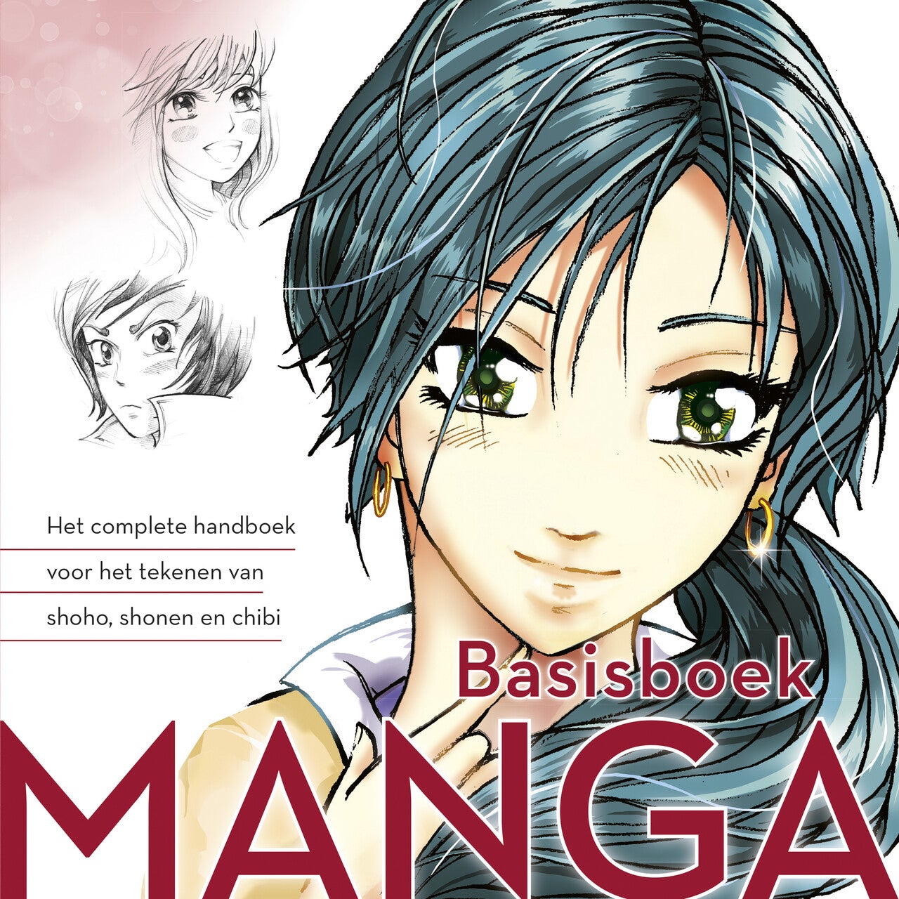 Basisboek manga (Paperback)