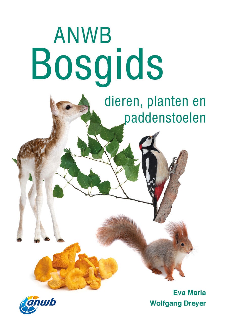 Bosgids (Paperback)